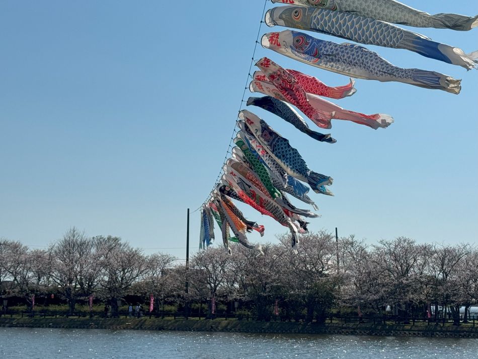 袋公園桜まつり